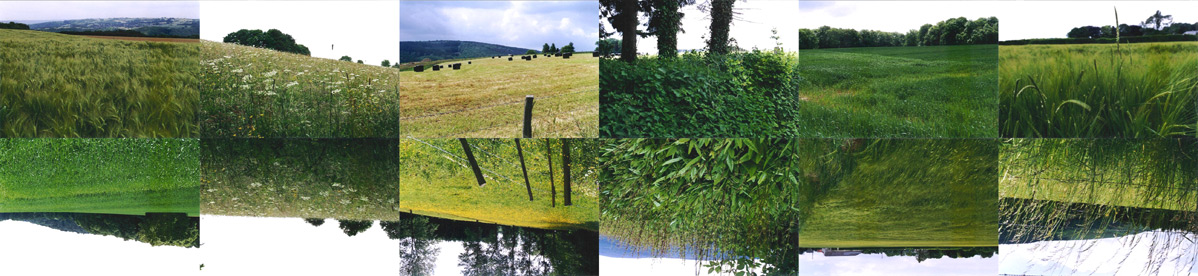 ardennen vakantiepanorama, detail (2005 ~ 28 x 185 cm ~ fotocollage + detail in acrylaat )