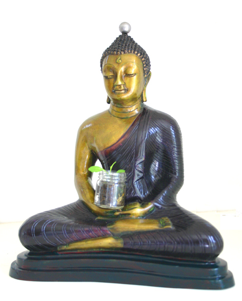 buddha, enlightenment, nature, 2007