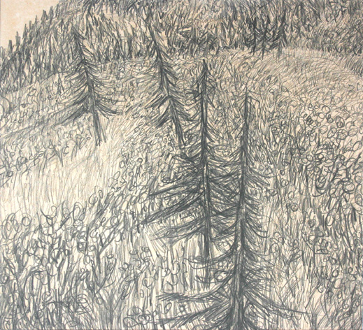dennenheuvel in luxemburg (2003 ~ 50 x 60 cm ~ potlood en grafiet op papier)