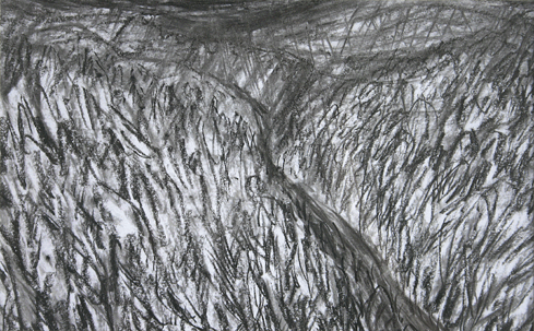 regen in luxemburg (2003 ~ 22 x 35 cm ~ cont�, grafiet, houtskool op papier)
