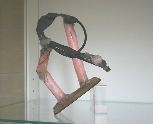 Snowboardvogel, 1986-2005 (kaarsvet, plastics, acryl, ijzer, karton)
