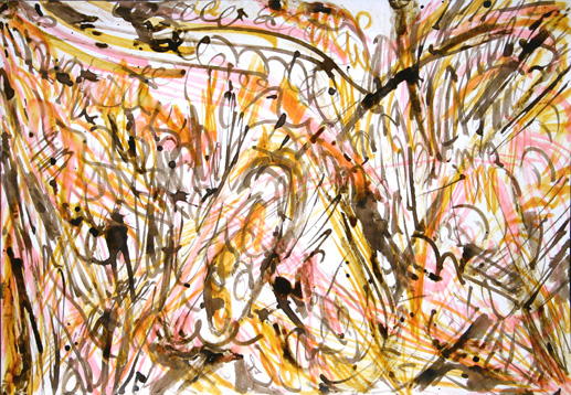 wild land (2005 ~ 21 x 30 cm ~ ink, bister, gelpen, pencil, acrylic on paper)